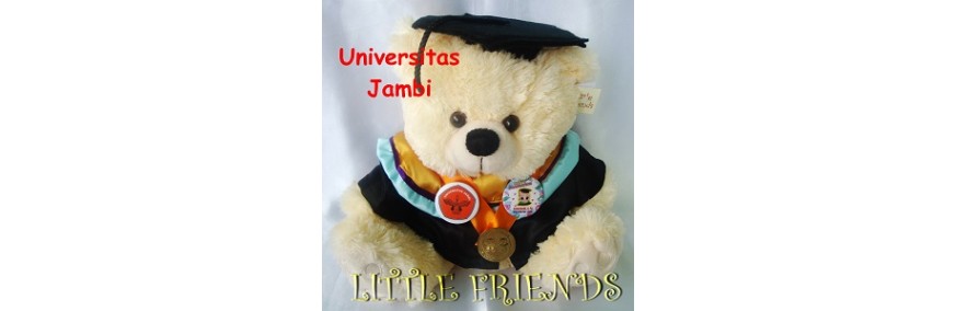 Boneka Wisuda Universitas Jambi